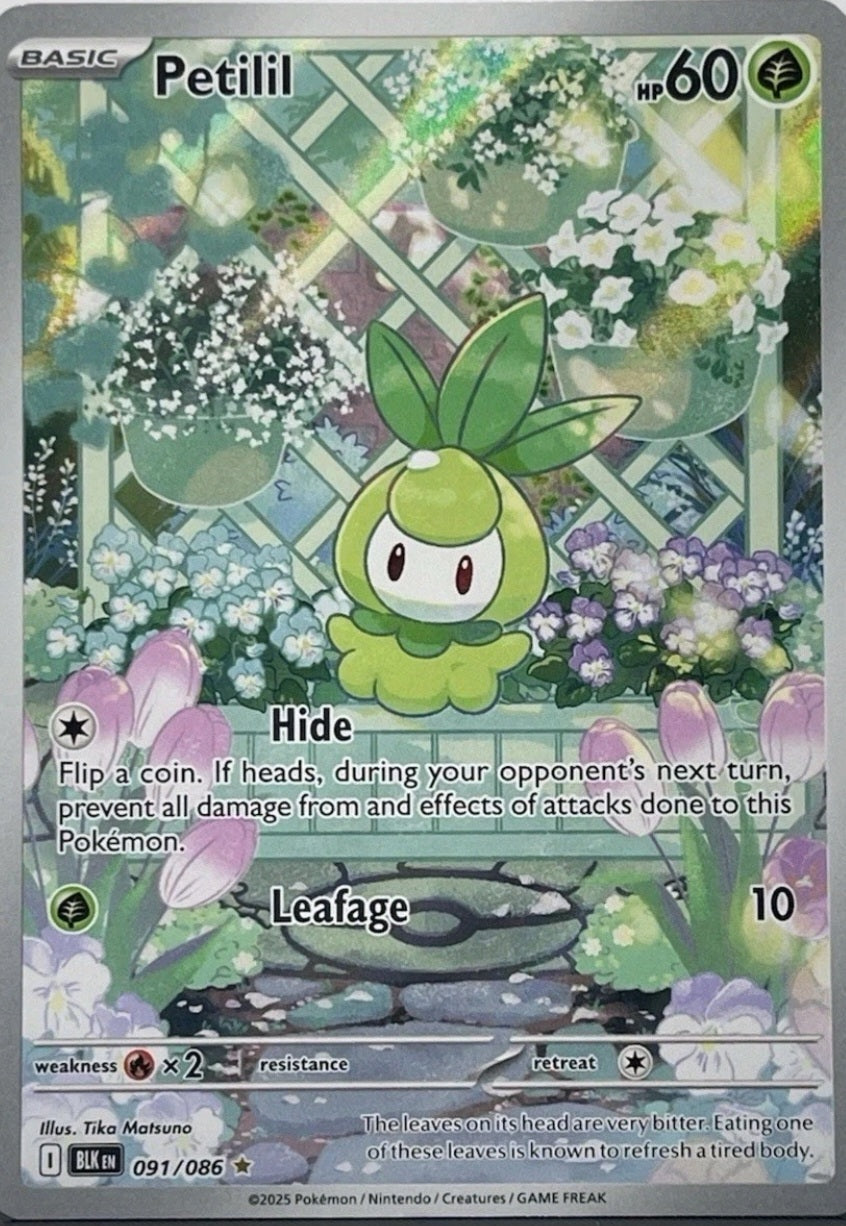 Petilil 091/086 Illustration Rare Pokémon Black Bolt