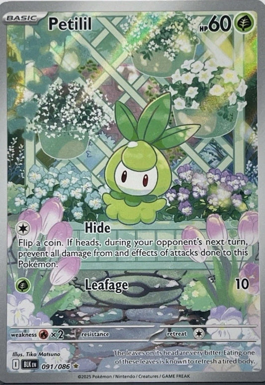 Petilil 091/086 Illustration Rare Pokémon Black Bolt
