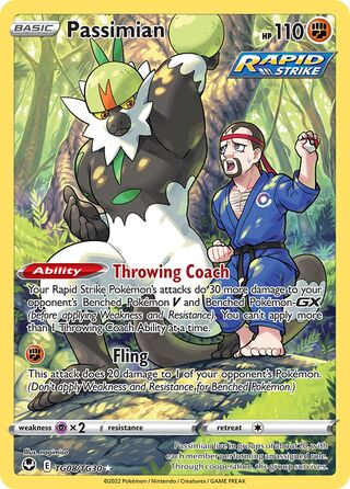 Passimian TG08/TG30 - Holo Rare Silver Tempest Trainer Gallery